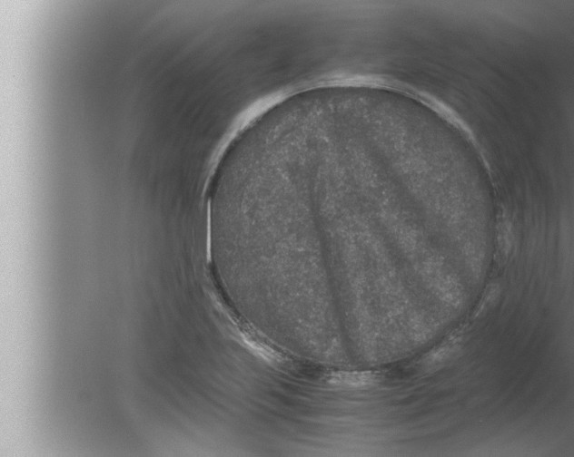 X0000080161223200612302145