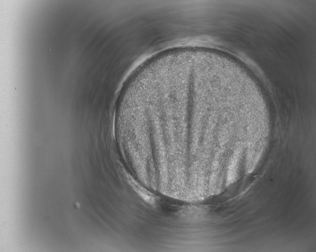 X0000080161224200612302145