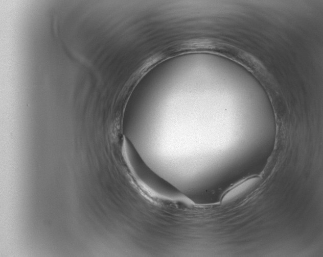 X0000080161225200612302145