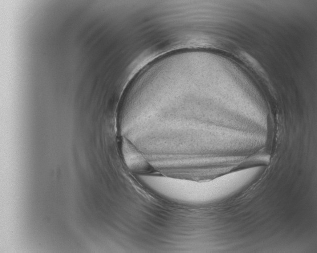 X0000080161226200612302145