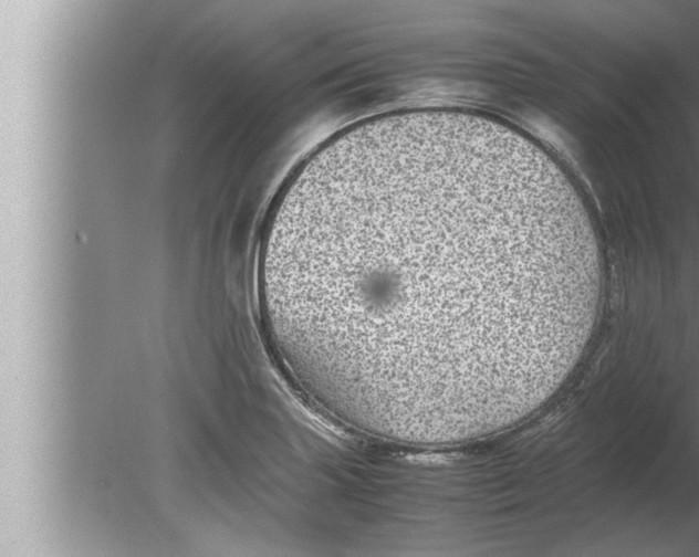 X0000080161227200612302145