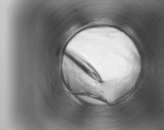 X0000080161228200612302145