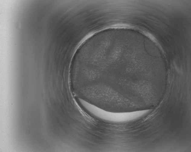 X0000080161229200612302145