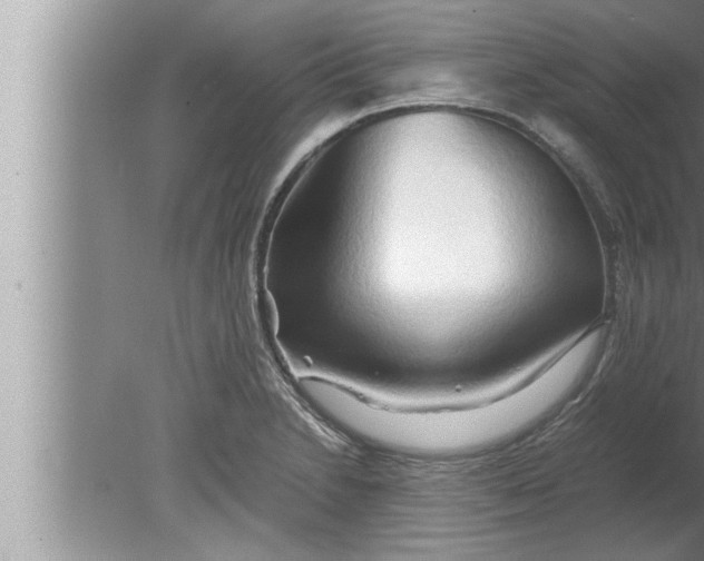 X0000080161230200612302145