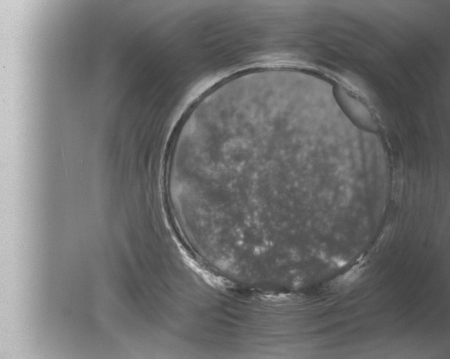 X0000080161231200612302145