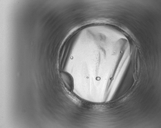 X0000080161232200612302145