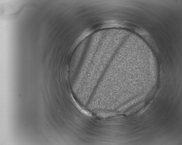 X0000080161233200612302145