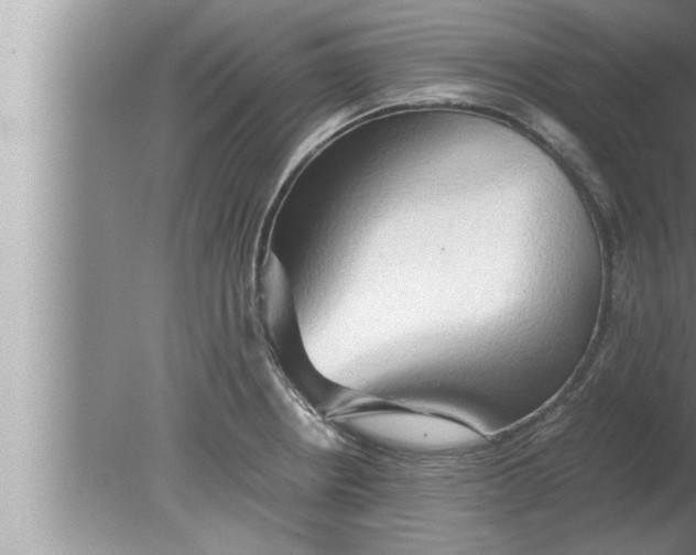 X0000080161234200612302145