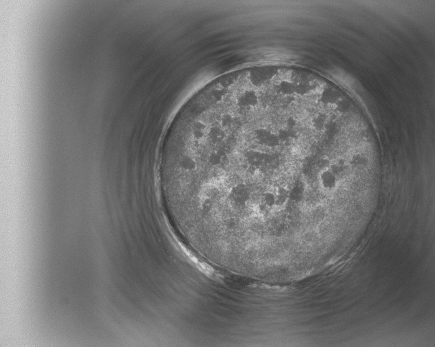 X0000080161235200612302145