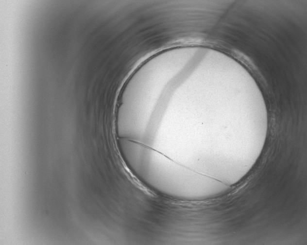 X0000080161236200612302145