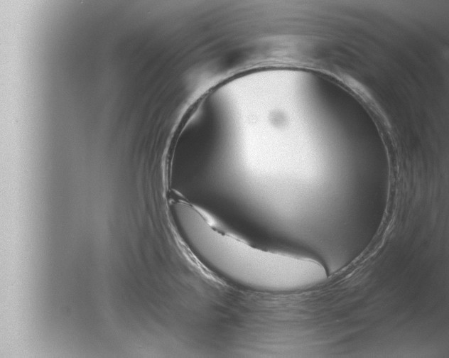 X0000080161238200612302145