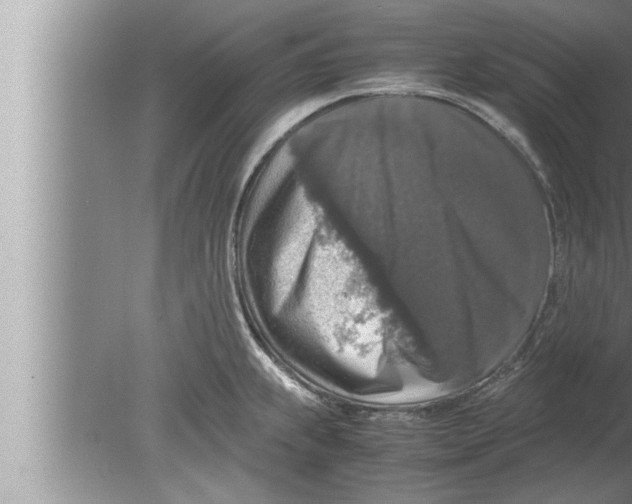 X0000080161239200612302145