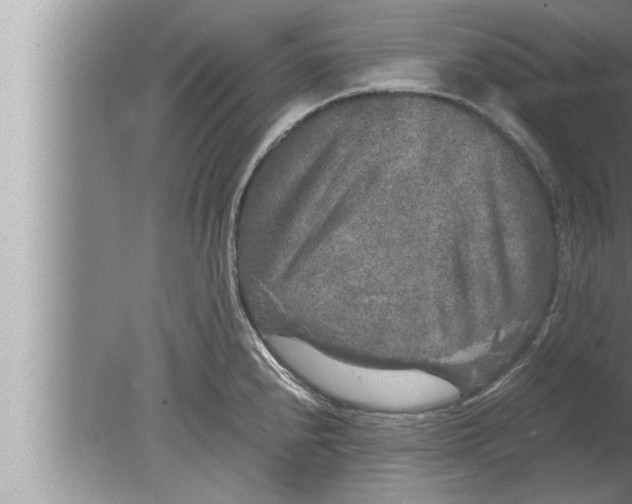 X0000080161240200612302145