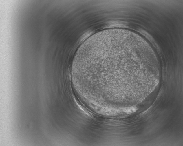 X0000080161241200612302145