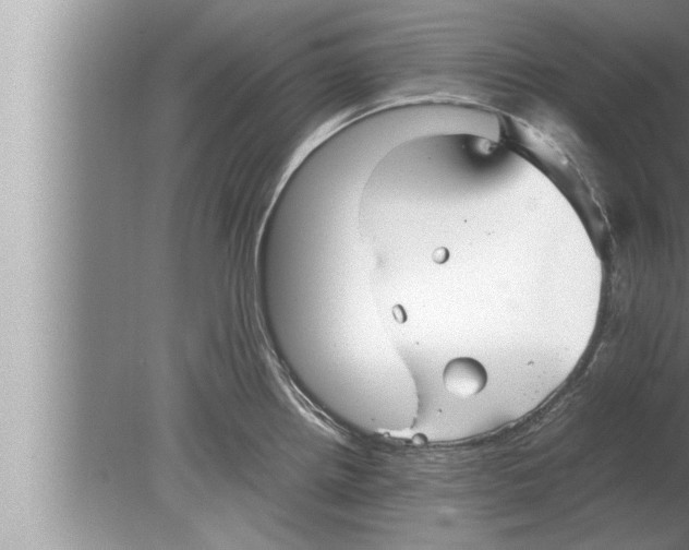 X0000080161242200612302145