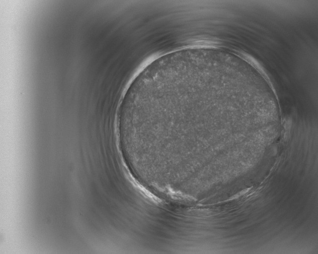 X0000080161243200612302145