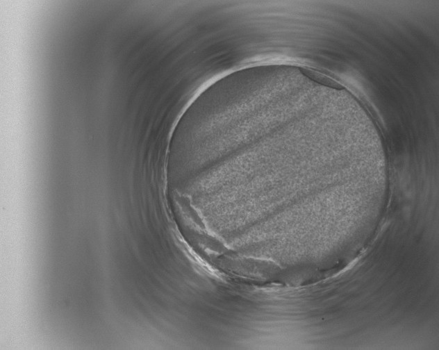 X0000080161244200612302145