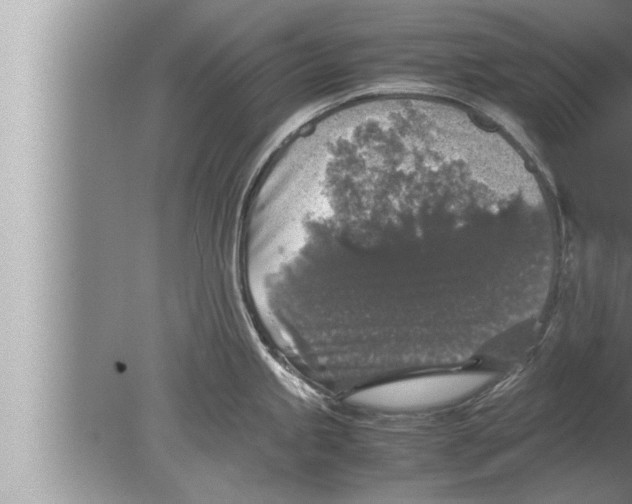 X0000080161245200612302145