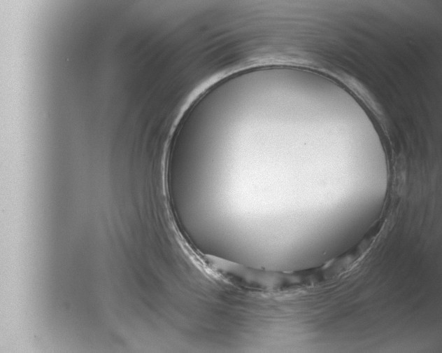 X0000080161246200612302145