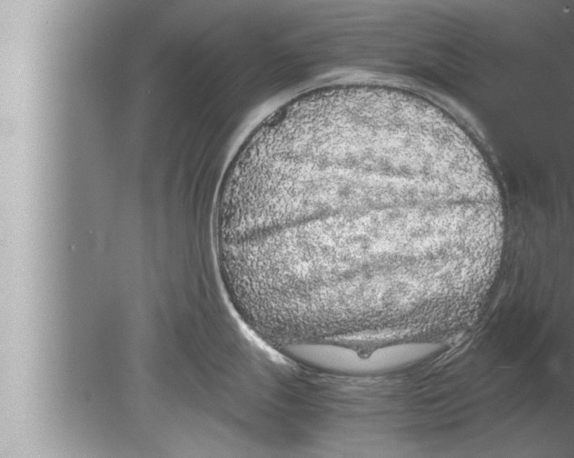 X0000080161247200612302145