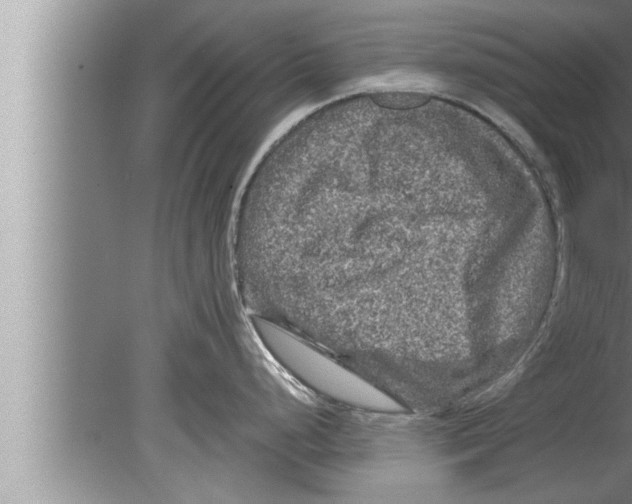 X0000080161248200612302145