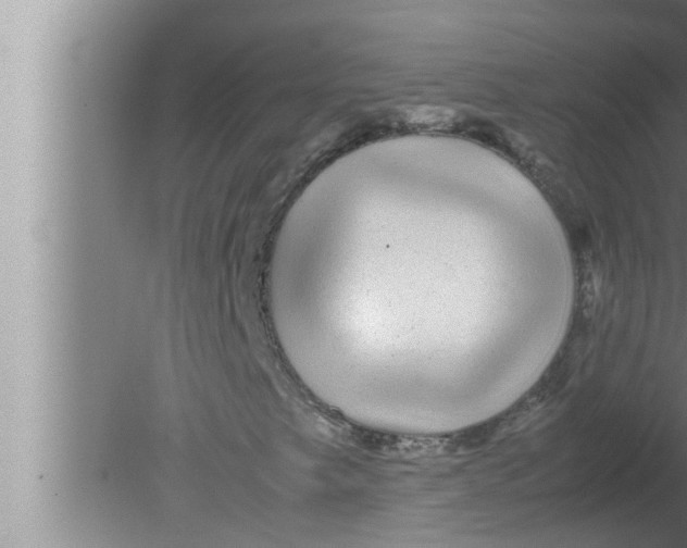 X0000080161249200612302144