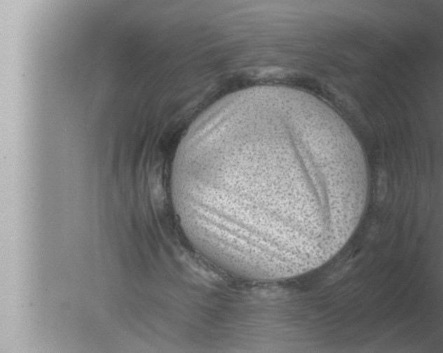 X0000080161250200612302144