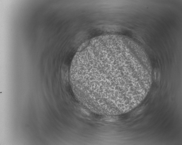 X0000080161251200612302144