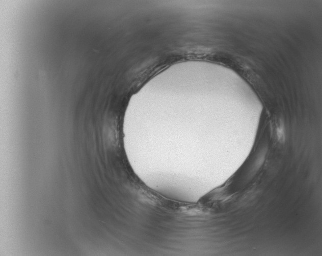 X0000080161252200612302144