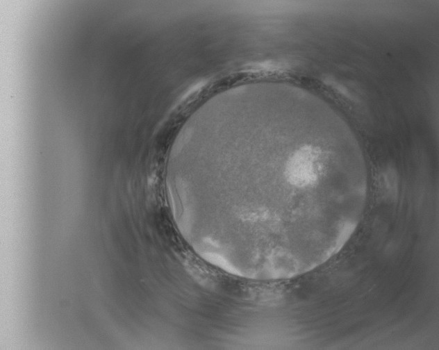 X0000080161254200612302144