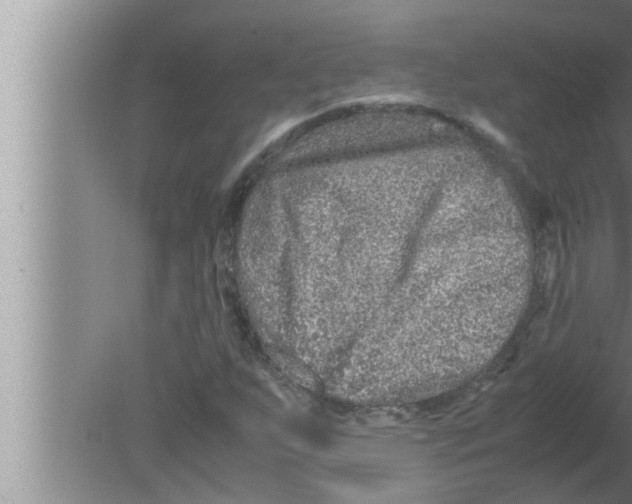 X0000080161255200612302144