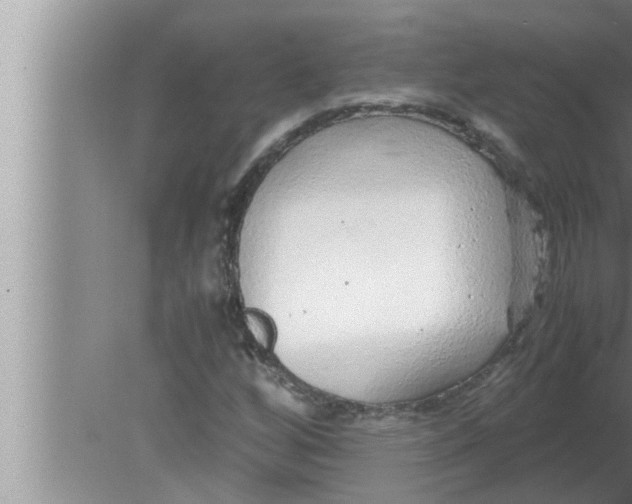 X0000080161256200612302144