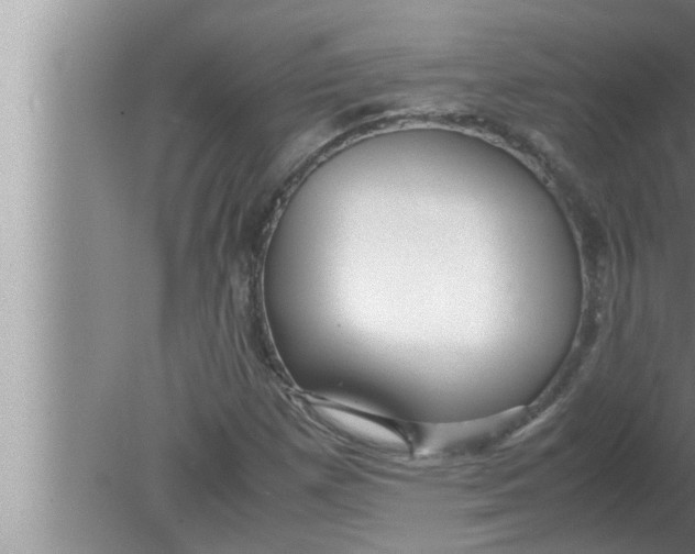 X0000080161257200612302144