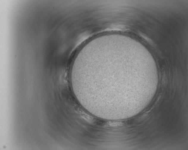 X0000080161258200612302144