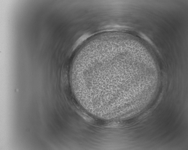 X0000080161259200612302144