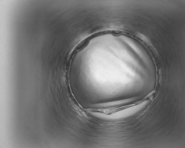 X0000080161260200612302144