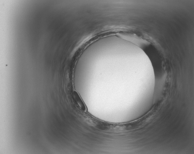 X0000080161261200612302144