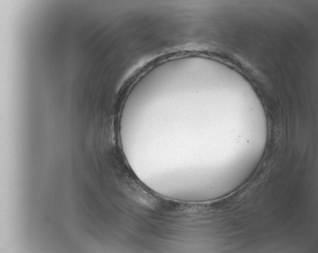 X0000080161262200612302144