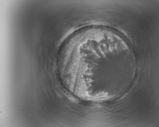 X0000080161263200612302144