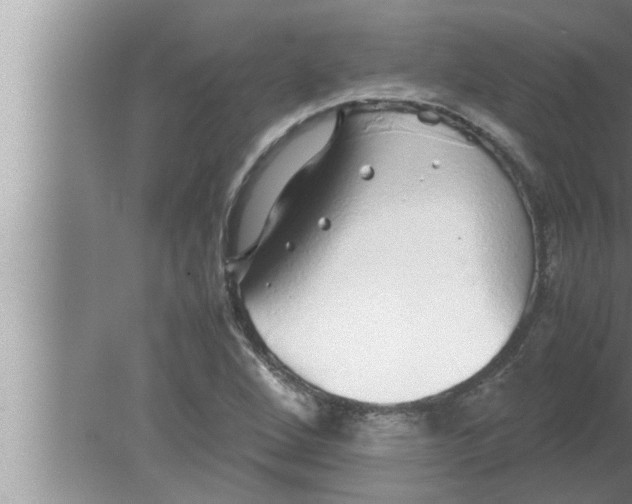 X0000080161264200612302144