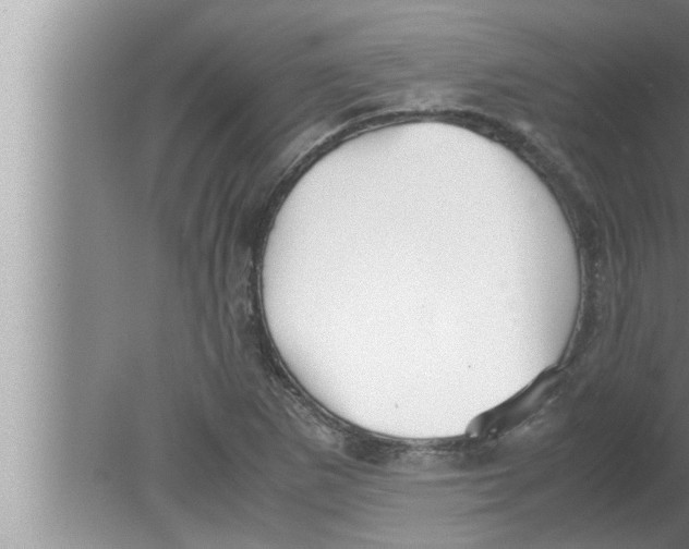 X0000080161265200612302144