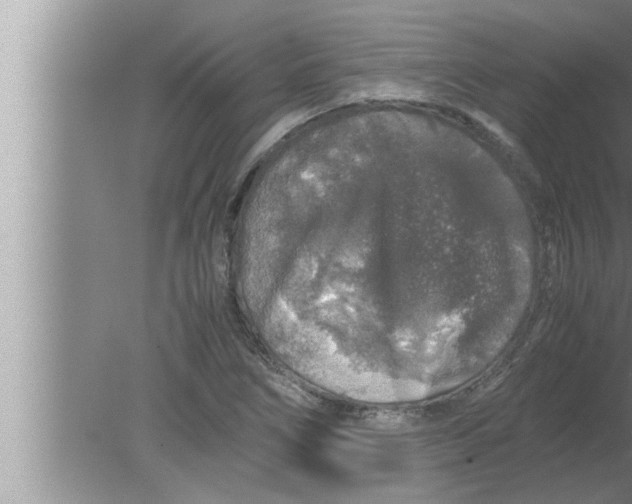 X0000080161266200612302144