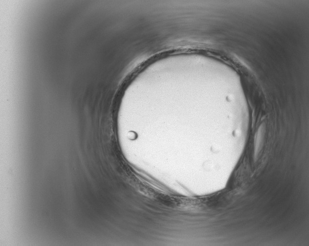 X0000080161267200612302144