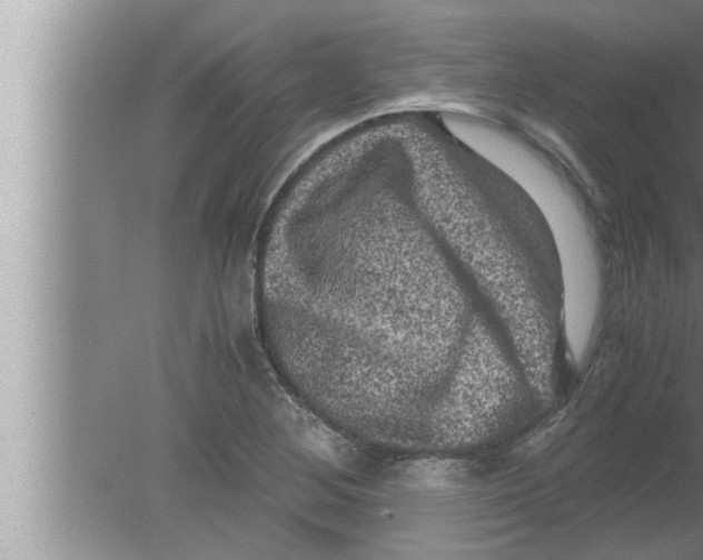 X0000080161268200612302144