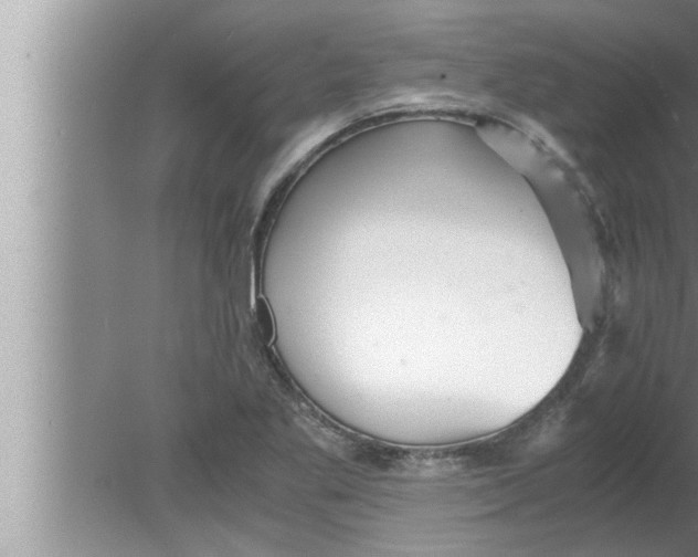 X0000080161269200612302144