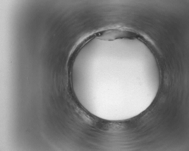 X0000080161270200612302144