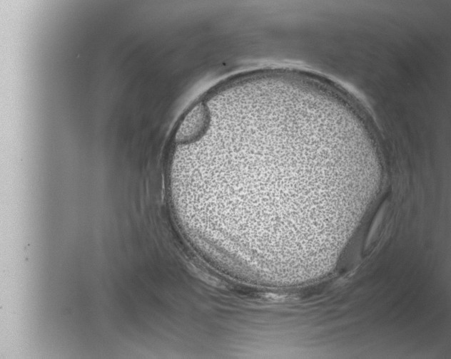 X0000080161271200612302144