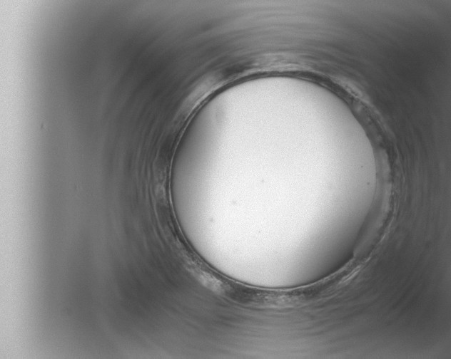 X0000080161273200612302144