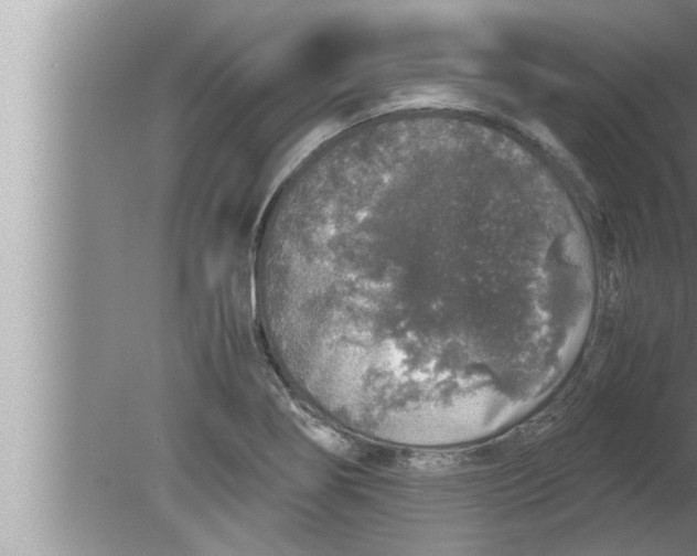 X0000080161274200612302144