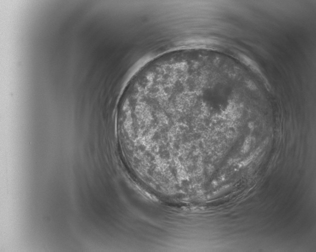 X0000080161275200612302144